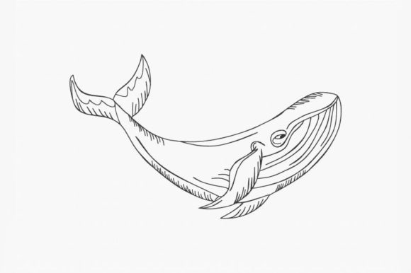 Blue Whale Line Art: A Gentle Embroidery Review